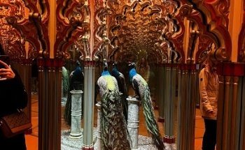 magdalena kaufmann yoga