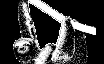 Yoga Klang Yaira Yonne