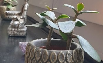 Relax-Glarus - Raum für BewusstSEIN