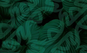 TYA Traditional Yoga Academy