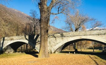 Percorso vita Parco Golena (Esercizi N 15, finale percorso)