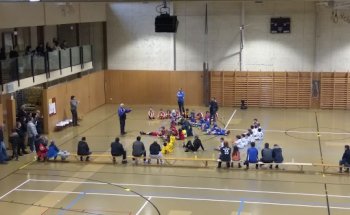 Palestre Comunali Ascona