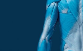 Kieser Training Basel