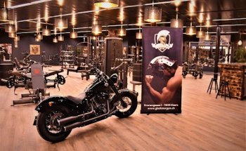 Gladiator Gym Zizers