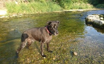 Militärsporthalle Frauenfeld