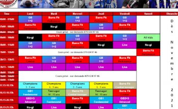 Gracie Barra Fribourg