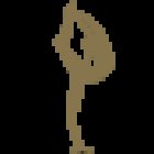 Polerinas GmbH | Poledance, Aerial Hoop & Silk | Kleine Gruppen