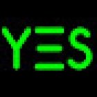 YES Bootcamp | Plainpalais