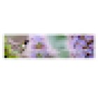 Sonatura Yoga & Bodywork