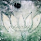 Yoga Studio YogaSeefeld