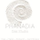 PRANADIA Das Studio - Yoga, Pilates, Bodywork, Atemtherapie - Nadia Zahner