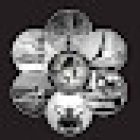 I AM UNITY (Formerly Fleur de Vie Yoga)