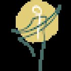 kahe - Praxisstudio für Yoga und Cranio in Albisrieden Zürich