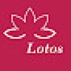 Yoga Center Lotos Basel