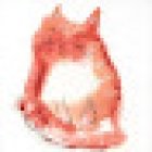 shiyoma Komplementärpraxis Fislisbach