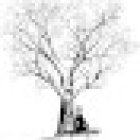 Yogaschule Angela Haas Hafencenter Eingang B