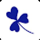 Andrea Hauser Yoga in Schaffhausen