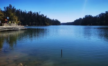 Gimnasio Energy Curauma