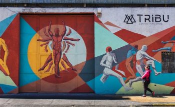 Tribu Centro Funcional