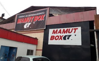 Centro de entrenamiento Mamut Box
