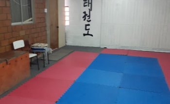 Taekwondo Punta Norte