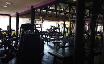 Gym Buin Max