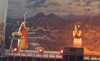 Gimnasio Techado De Calama