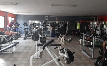 Ciro Luis Antillanca Cuevas Gimnasios Cirosgym E.I.R.L.