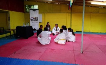 All Blacks Team Taekwondo Academy