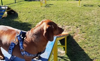 Parque Costanera Quilque Norte