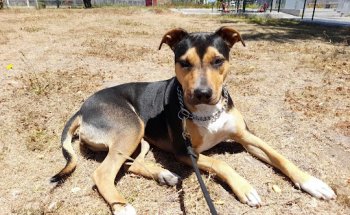 Gimnasio Candelaria San Pedro De La Paz