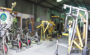 Gracie Jiu-jitsu Club . Academia Picciani