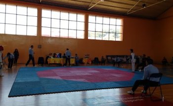 Gimnasio fiscal de Rahue