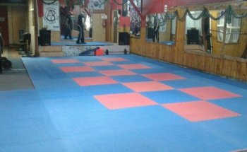 Gimnasio John's Power Gym Chile. Federación Jidokwan Chile.