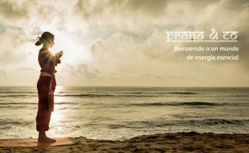 Prana & Co.