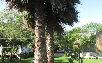 Movimiento Fitness Limache