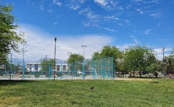 “La Curva” Club Deportivo Social y Cultural