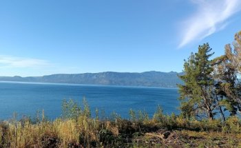 Corpus Gym & Wellness