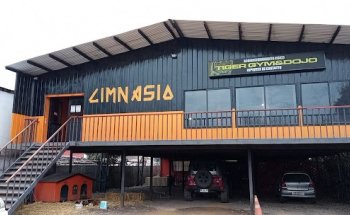 Academia de artes marciales y gym Tiger