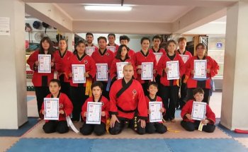 shaolin chan central parral