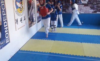 Salon taekwondo KWON