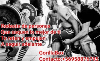 Estudio Fitness Gorillabox estética, terapia y spa