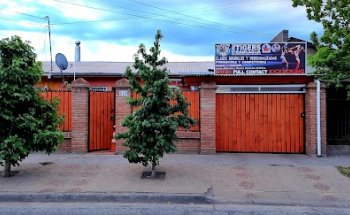 Young Tigers Rancagua (KickBoxing)