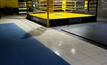 TEAM BARRIO FRANKLIN Gimnasio MMA Santiago Artes Marciales Deporte Contacto