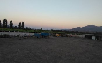 Agrícola Lo Beltrán