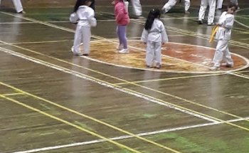 Gimnasio municipal Nro 2 Victoria