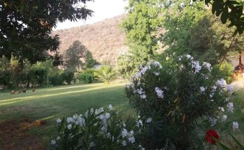 Hatha Yoga San Miguel