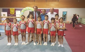 Gimnasio Municipal Chepica