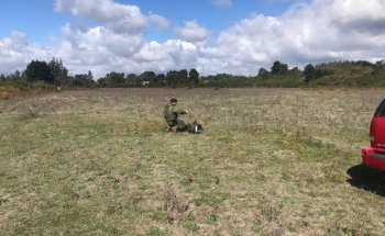 Cancha Condor UTA INACAP Lautaro