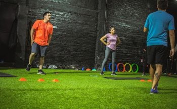 Shark Entrenamientos